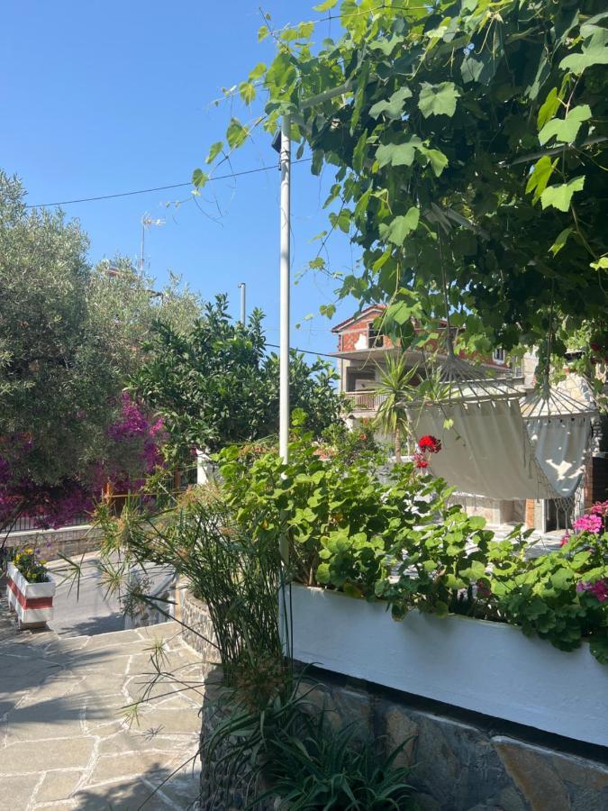 Agape Studios Neos Marmaras Dış mekan fotoğraf